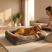 Finally, Pain-Free Sleep for Your Dog