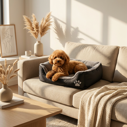 Pawrix™  Ultimate Relaxation for Pets